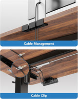 48 Inch Electric Standing Desk With Adjustable Height