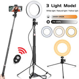 Metal Bracket Selfie Stick Bluetooth Set Ring Light with Gimbal - Crafted Creator