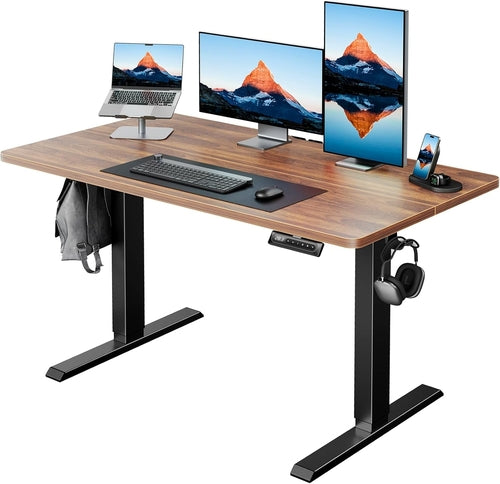 48 Inch Electric Standing Desk With Adjustable Height